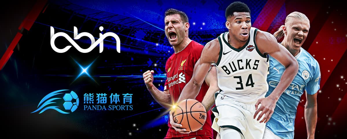 皆可圈可点